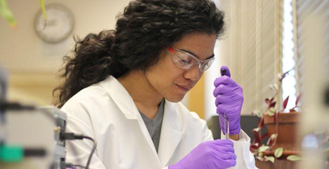 Image of a Student in the Laboratory