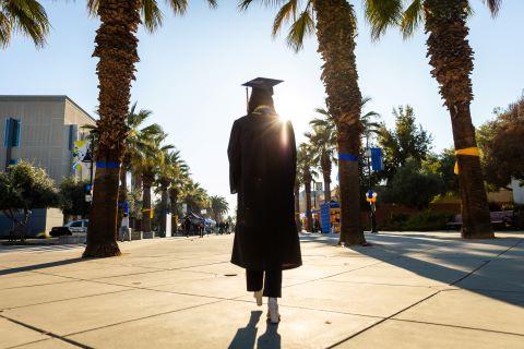 Graduate in regalia walking down the palm tree lined Paseo of 利记 with the sun beaming