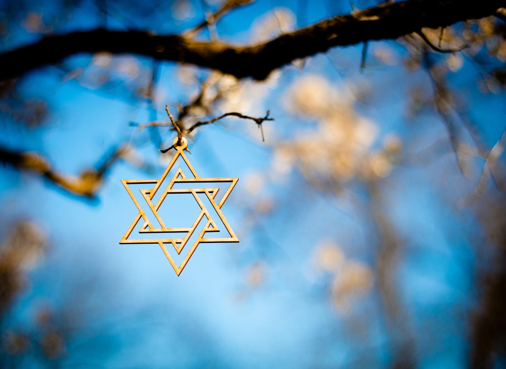 Jewish star hanging from a branch; blurry spring bloom in background